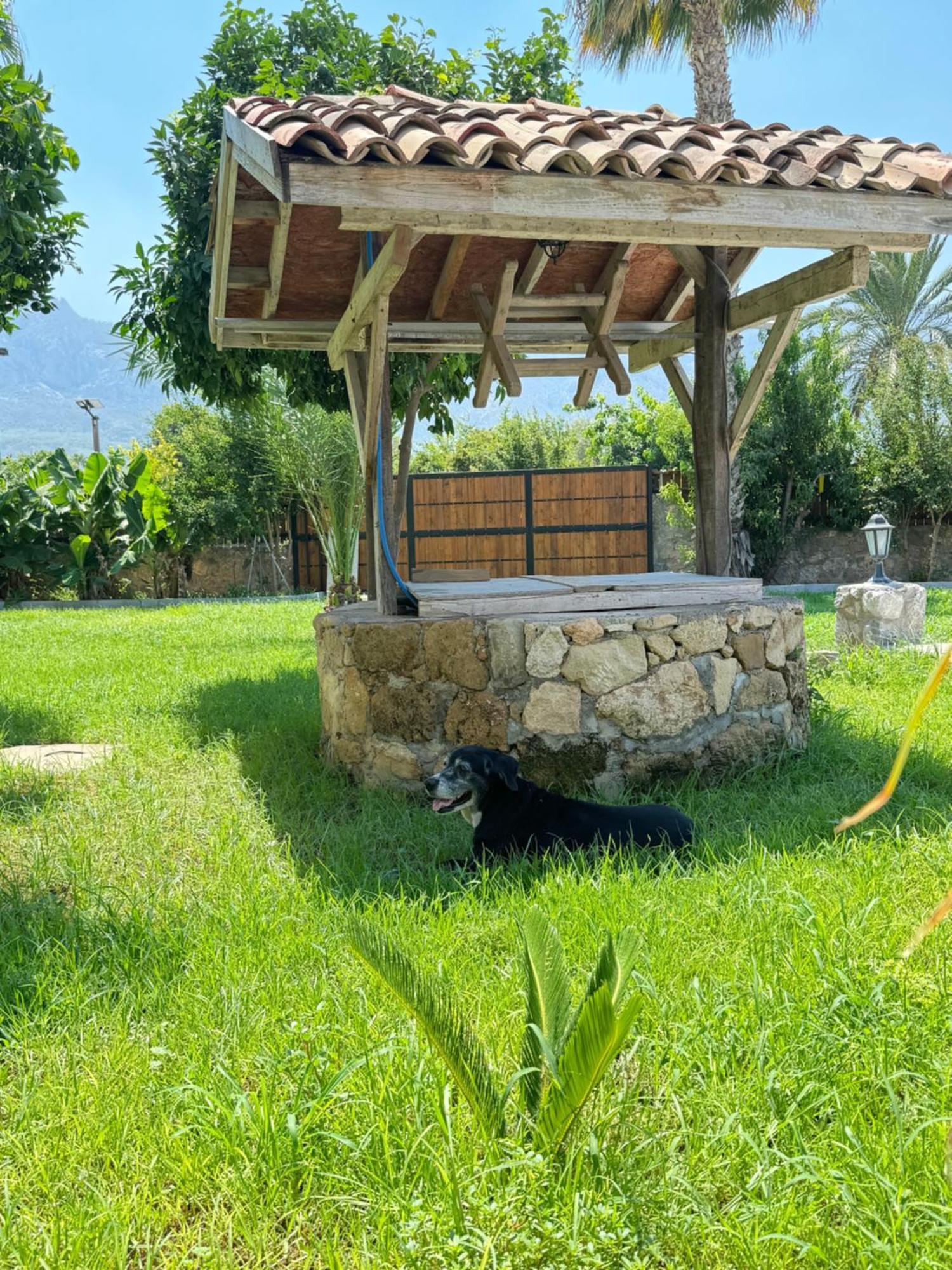 The Horse Farm Hotel Agios Georgios  Buitenkant foto