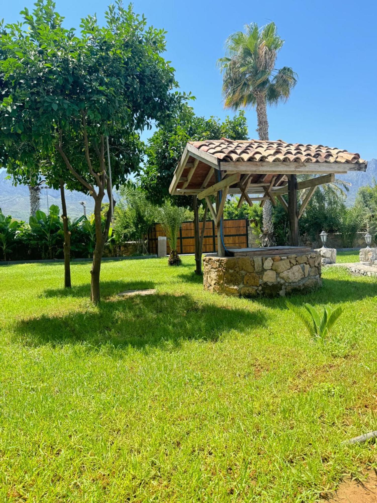 The Horse Farm Hotel Agios Georgios  Buitenkant foto