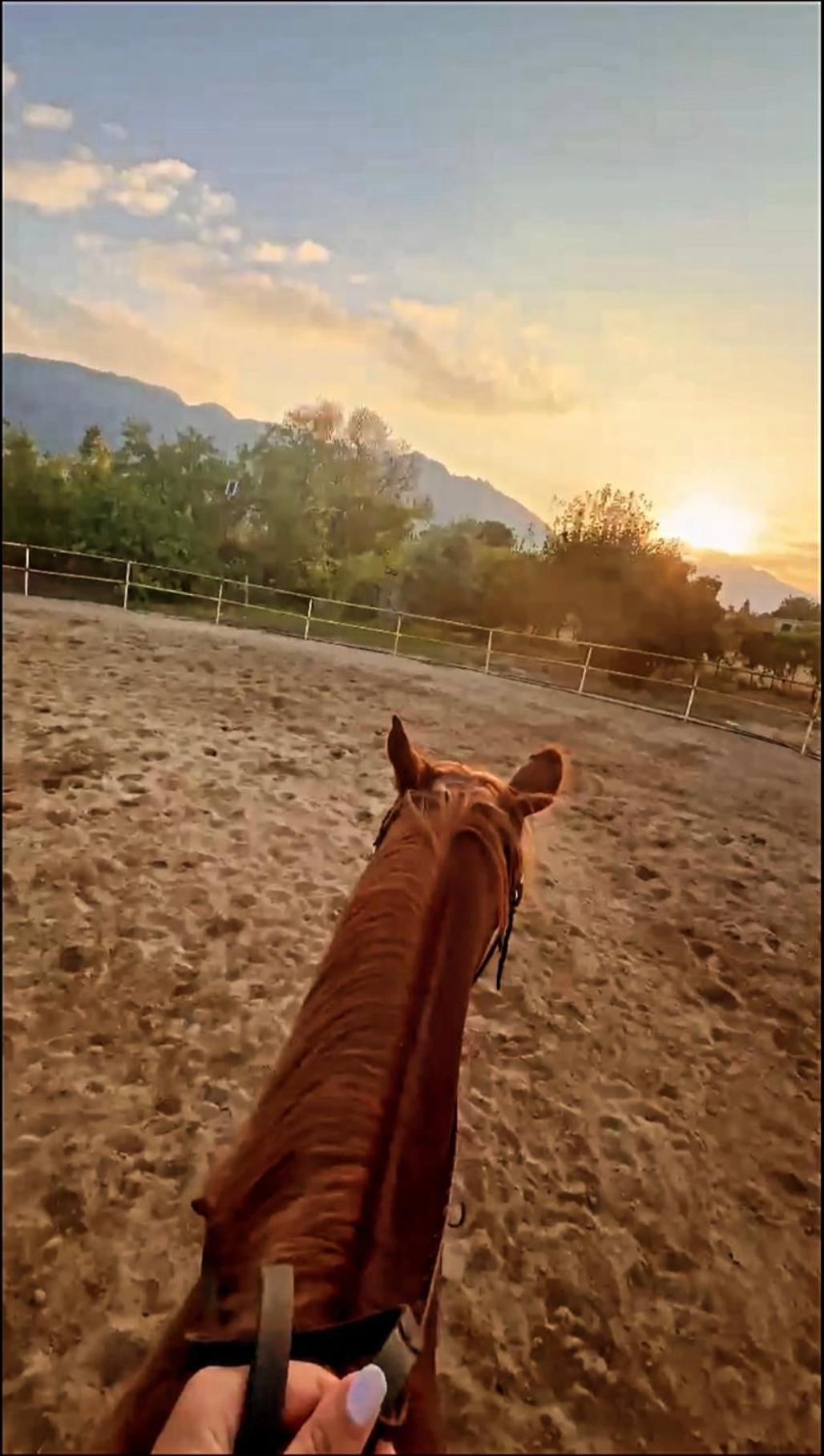 The Horse Farm Hotel Agios Georgios  Buitenkant foto